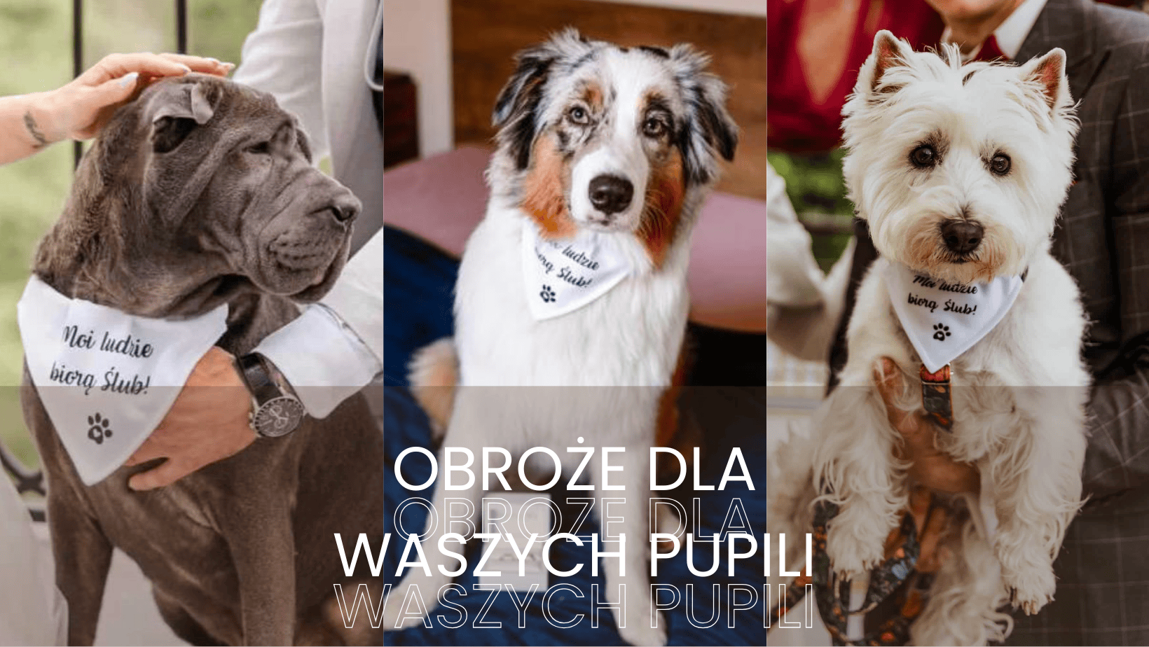 Sprawdź pozostałe wzory