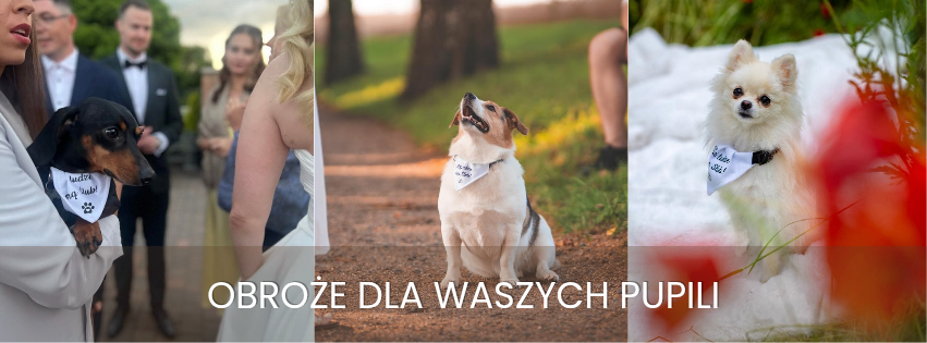 Sprawdź pozostałe wzory