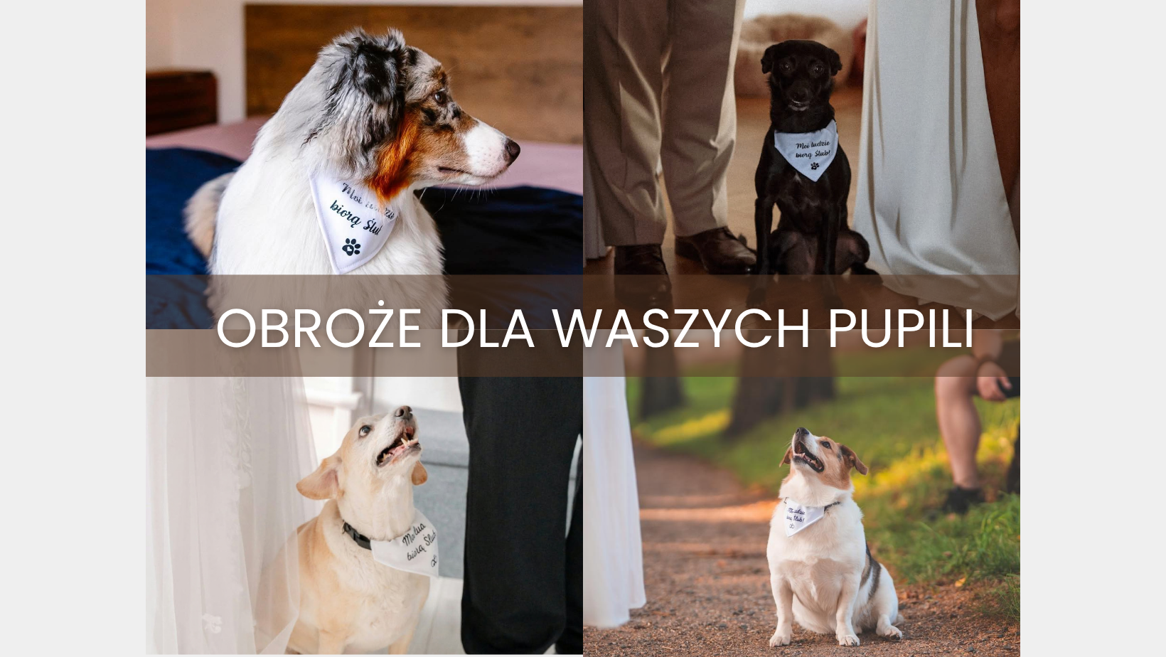 Sprawdź pozostałe wzory
